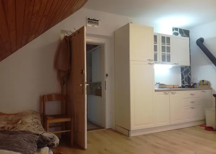 Vintage Paradise Near Kranjska Gora Apartment